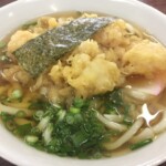 天ぷらうどん(並盛り)490円。あっさり出汁で美味しい。天ぷらは小エビのかき揚げです(栗田)